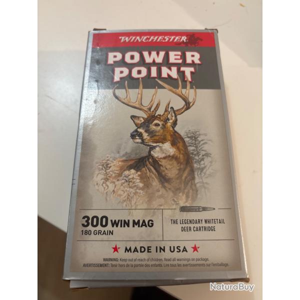 Munitions 300 win mag