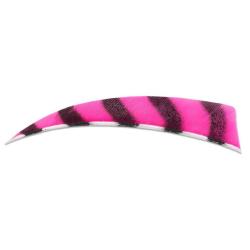 BUCK TRAIL - Plumes Naturelles Shield 4" RH Barred BARRED PINK