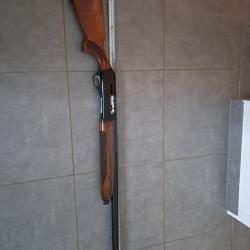 fusil semi automatique