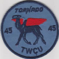45 TWCU RAF   ( Ecusson et Epinglette )