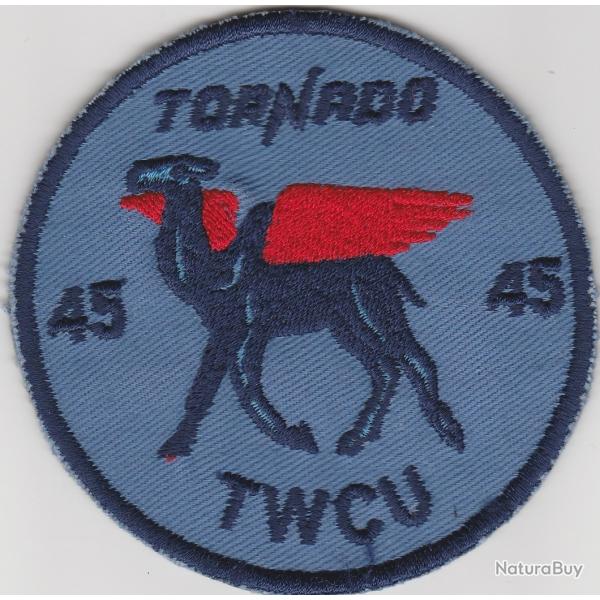 45 TWCU RAF   ( Ecusson et Epinglette )