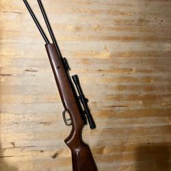 carabine air comprim&eacute; 19 joules