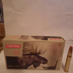 BALLES NORMA PLASTIC POINT 9.3X62
