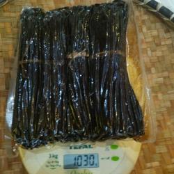 Vanille de madagascar