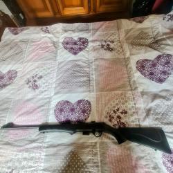 Carabine Rossi 8117 HMR 22LR
