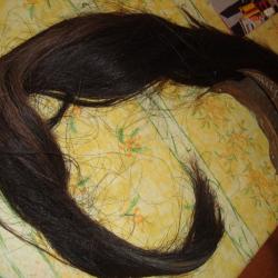 CIMIER LAITON DRAGON 1872+CRINIERE