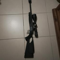 Carabine bergara 308