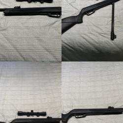 Carabine a plomb Gamo Blackbear