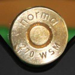 270 WSM (Winchester Short Magnum)