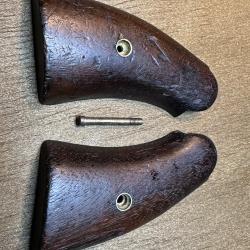 Smith & Wesson Victory