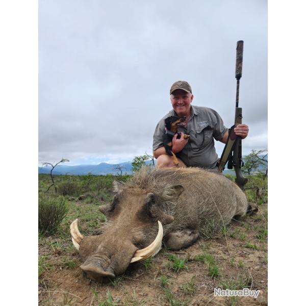 Sjour chasse Afrique du sud