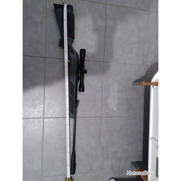 carabine a air comprim