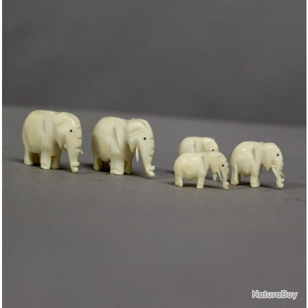 Suite de 5 lphants sculpts ivoire