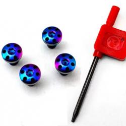 visserie type 4 pour plaquette colt LIVRAISON GRATUITE