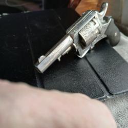 Revolver bulldog de toute beauté tout sculpter poli blanc simple et double action