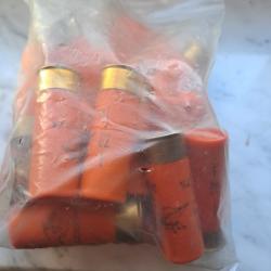 Lot de cartouche calibre 12