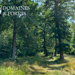 Massif forestier en Haute-Garonne de 26 hectares DF-631-A