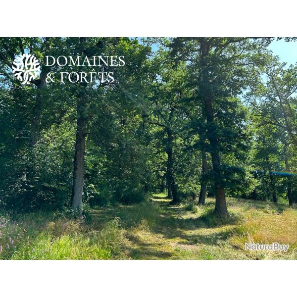 Massif forestier en Haute-Garonne de 26 hectares DF-631-A
