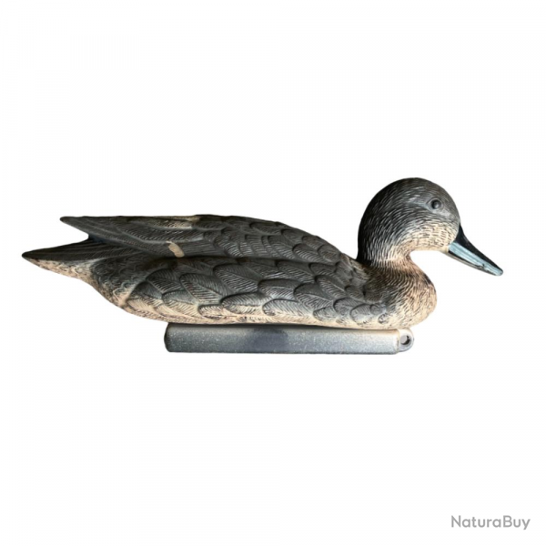 APPELANT PILET FEMELLE - 