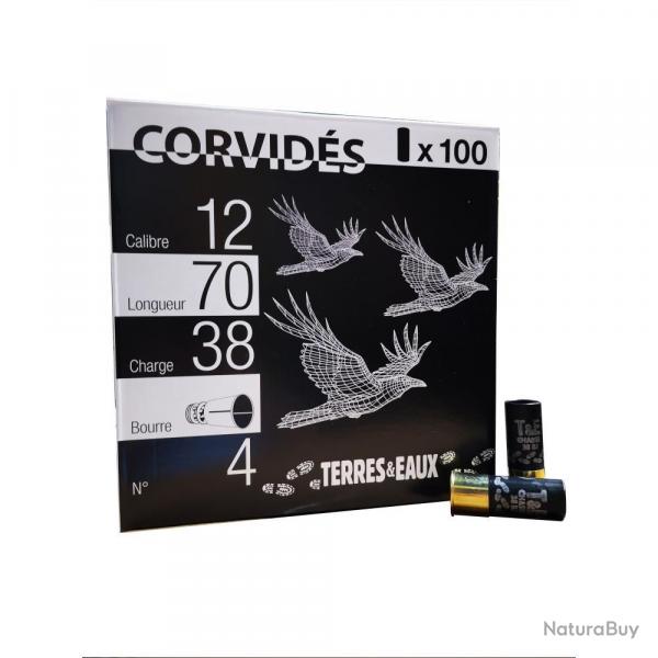 PACK EXTREM 38 12/70 38G BJ X100 - N 6 - 