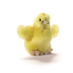 PELUCHE POUSSIN 10CM - ANIMA