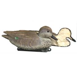 APPELANT SARCELLE FEMELLE MOUSSE - 