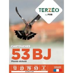 CARTOUCHES T E 12MAG 53G BJ X10 N