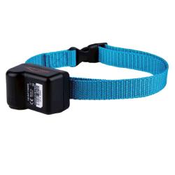 COLLIER ANTIABOIEMENT CANICALM FIRST - NUM'AXES EDUCATION