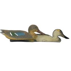 APPELANT SOUCHET FEMELLE MOUSSE - 