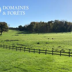Domaine Agricole et Naturel à potentiel Cynégétique dans la Vienne (86) d'environ 48 hectares DF-635