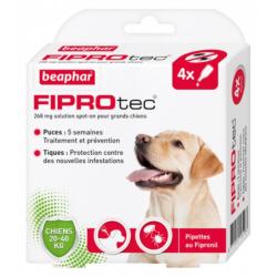 PIPETTES FIPROTEC GRAND CHIEN X4 - BEAPHAR
