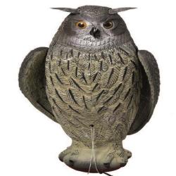 APPELANT GRAND DUC AILE BATTANTE - 