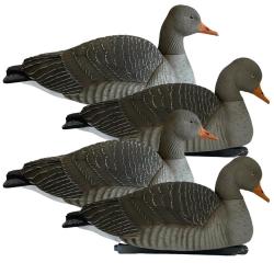 APPELANT OIE CENDREE FLOTTANTE PG X4 - GREENHEAD