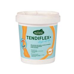 TENDIFLEX PLUS ARGILE - 1.5KG - RAVENE