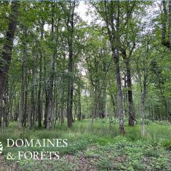 Propriété de chasse et de caractère Sud de la Brenne (36) d'environ 86 hectares DF-638-B