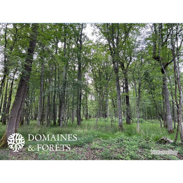 Proprit de chasse et de caractre Sud de la Brenne (36) d'environ 86 hectares DF-638-B