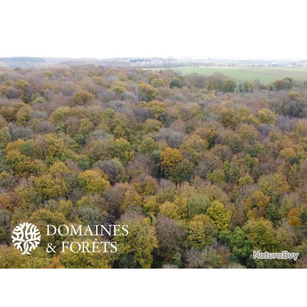 Proprit Forestire et Cyngtique dans le Loiret d'environ 45 hectares DF-1105-S