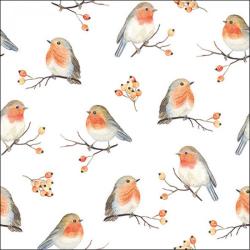 SERVIETTE FAMILLE D'OISEAUX - AMBIENTE