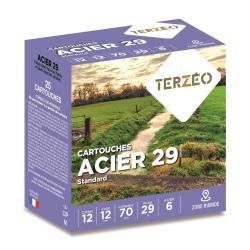 CARTOUCHES ACIER 29 STD 12 70 29G BJ X25 N
