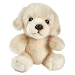 PELUCHE LABRADOR 17CM - ANIMA