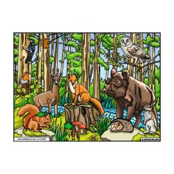 COLORIAGE LES ANIMAUX DE LA FORET - LUDOCOLOR
