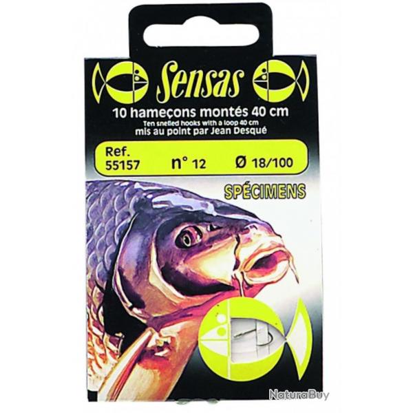 HAMECON MONTES SPECIMENS - 16/12 - SENSAS