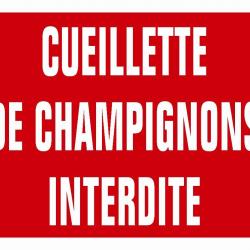 PANNEAU AKILUX CUEILL.CHAMPIGNONS - KROMA