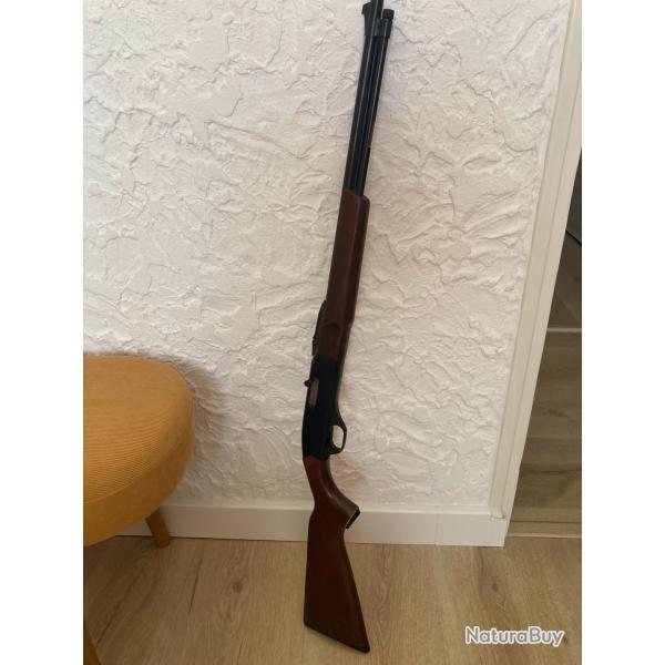 Carabine WINCHESTER Modele 290 calibre 22 LR