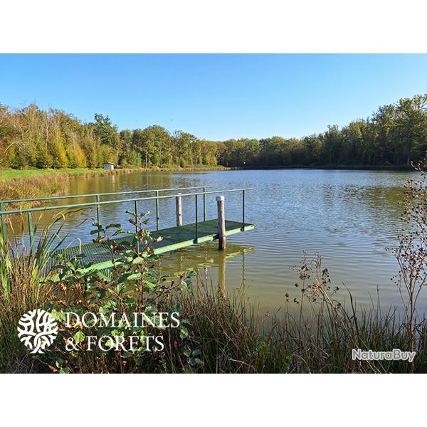 Proprit d'Agrment dans l'Yonne 17 hectares DF-1080-A