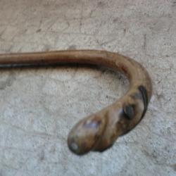 ancienne canne ""motif  tete animali&egrave;re