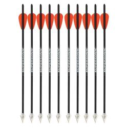 10 Flèches de chasse 13 pouces en carbone pour FMA Supersonic Hunt Pack