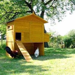 Poulailler XXL abri poule poulailler 12 poules caille volaille clapier lapin avis cielterre-commerce