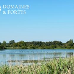 Magnifique territoire  de pêche à la carpe et d'agrément dans l'Indre (36) d'environ DF-1053-B