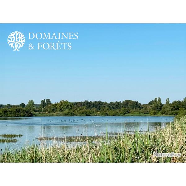 Magnifique territoire  de pche  la carpe et d'agrment dans l'Indre (36) d'environ DF-1053-B